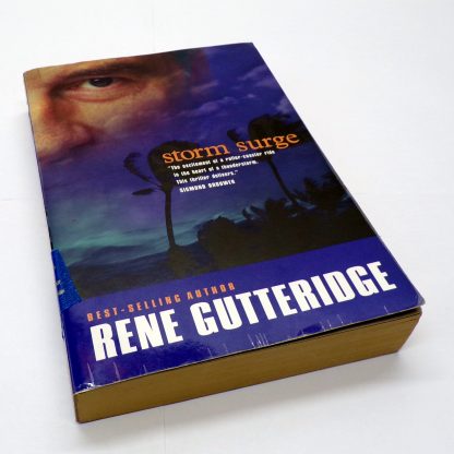 Storm Surge Paperback by Rene Gutteridge