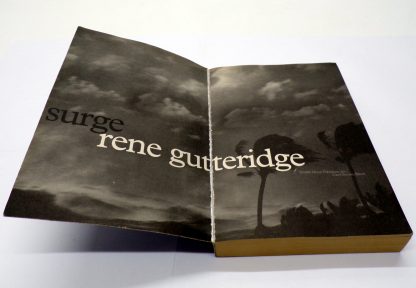 Storm Surge Paperback by Rene Gutteridge